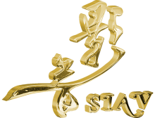 siavlogobig